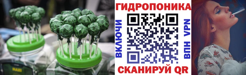 где купить   Балтийск  МЕГА сайт  Cannafood конопля 